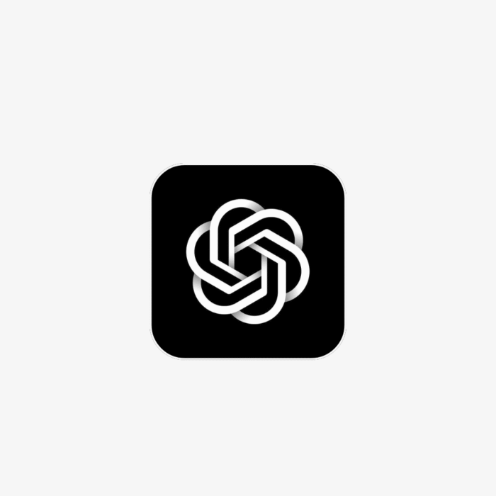 ChatGpt Pro